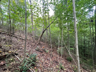 Land for Sale in Maury County, Tennessee - image 22