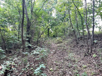 Land for Sale in Maury County, Tennessee - image 19