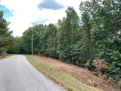 Land for Sale in Maury County, Tennessee - image 7