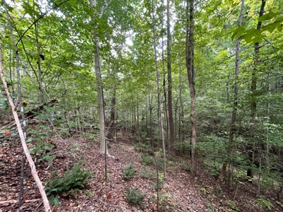 Land for Sale in Maury County, Tennessee - image 23