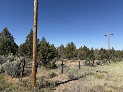 Five Acres of Undeveloped Land in Alturas Offering Privacy - image 1