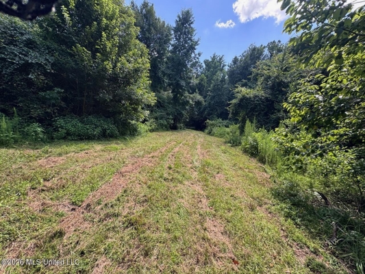 45± Acres in Aimwell, LA with Ford Creek Frontage