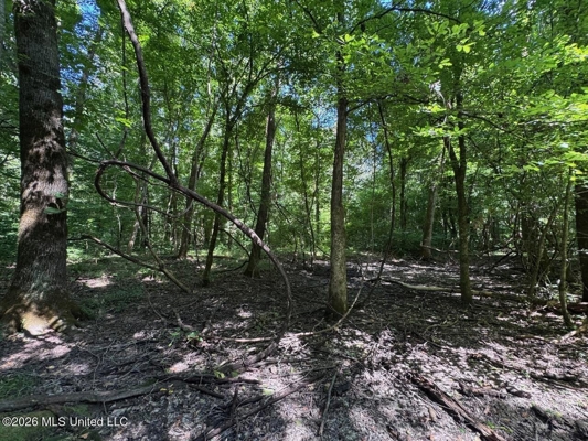 45± Acres in Aimwell, LA with Ford Creek Frontage