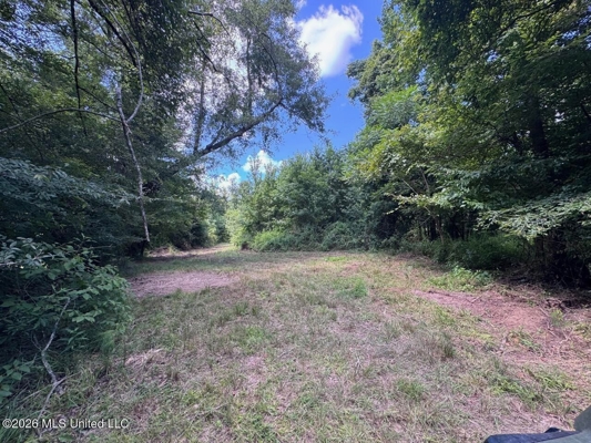 45± Acres in Aimwell, LA with Ford Creek Frontage