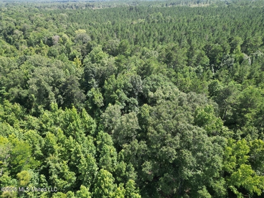 45± Acres in Aimwell, LA with Ford Creek Frontage