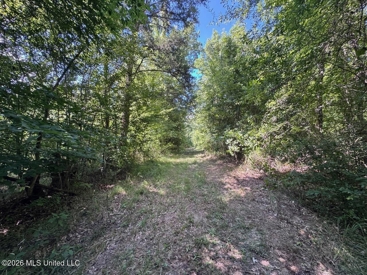 Listing 185