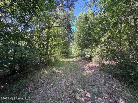 45± Acres in Aimwell, LA with Ford Creek Frontage