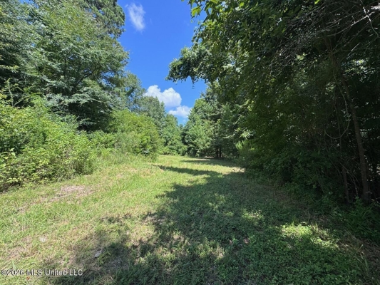 45± Acres in Aimwell, LA with Ford Creek Frontage