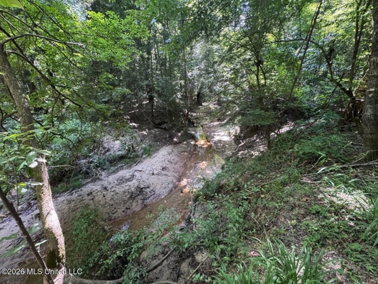 45± Acres in Aimwell, LA with Ford Creek Frontage