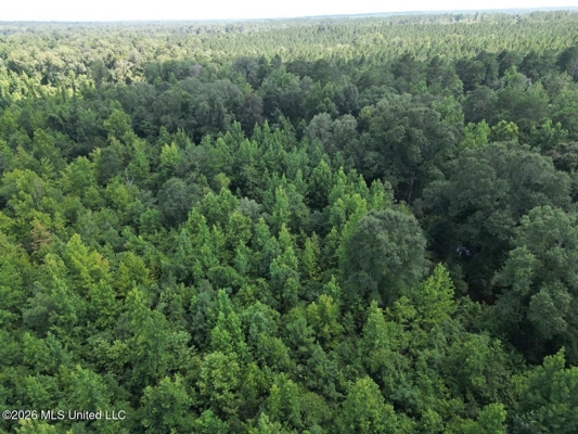 45± Acres in Aimwell, LA with Ford Creek Frontage