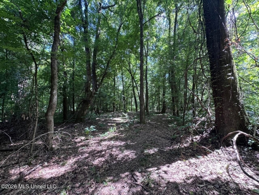 45± Acres in Aimwell, LA with Ford Creek Frontage
