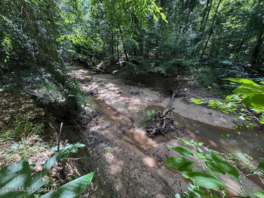 45± Acres in Aimwell, LA with Ford Creek Frontage