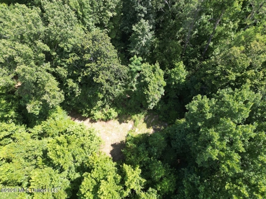 45± Acres in Aimwell, LA with Ford Creek Frontage