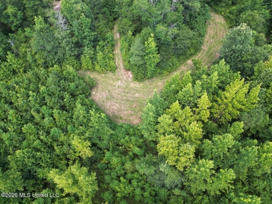45± Acres in Aimwell, LA with Ford Creek Frontage