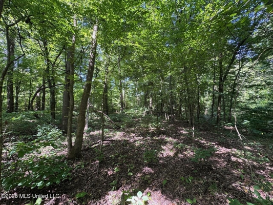45± Acres in Aimwell, LA with Ford Creek Frontage