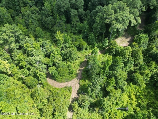 45± Acres in Aimwell, LA with Ford Creek Frontage