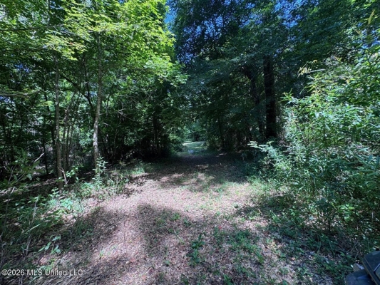 45± Acres in Aimwell, LA with Ford Creek Frontage