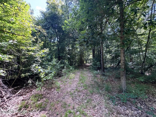 45± Acres in Aimwell, LA with Ford Creek Frontage
