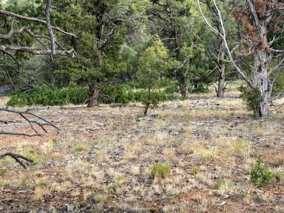Ridgway Reservoir View Homesite with Guest House - image 26
