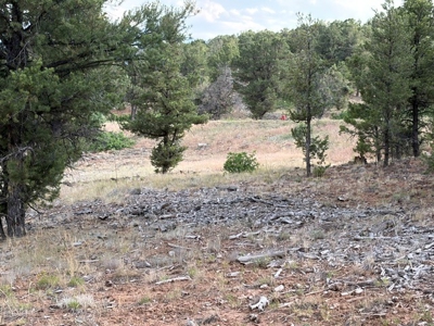Ridgway Reservoir View Homesite with Guest House - image 27