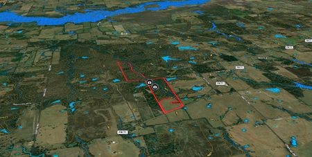 130 acres East Tx Hunting Property - image 7