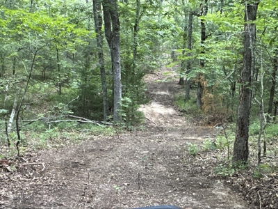 130 acres East Tx Hunting Property - image 2
