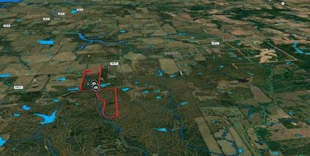 130 acres East Tx Hunting Property - image 3