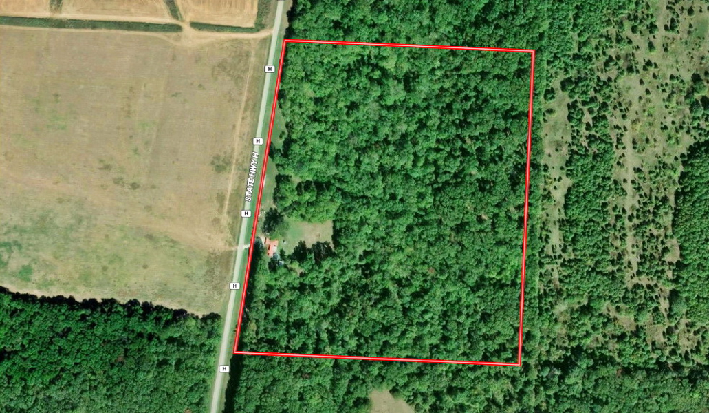 No Caption