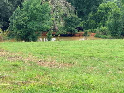 Private Country Retreat on 35 Acres in Huntsville, Arkansas - image 13