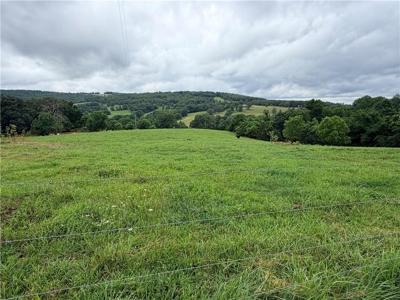 Private Country Retreat on 35 Acres in Huntsville, Arkansas - image 12