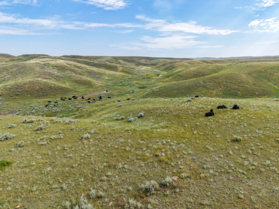 East Malta Ranch | Phillips County, Montana - image 31