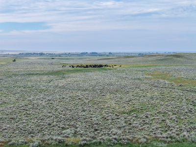 East Malta Ranch | Phillips County, Montana - image 47