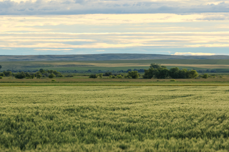 East Malta Ranch | Phillips County, Montana - image 34