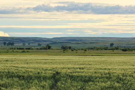 East Malta Ranch | Phillips County, Montana - image 10