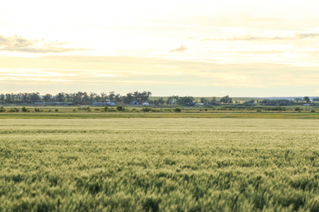 East Malta Ranch | Phillips County, Montana - image 18