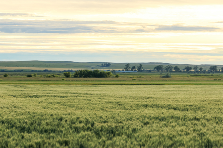 East Malta Ranch | Phillips County, Montana - image 21