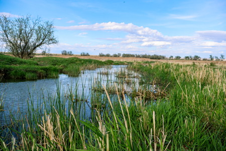 East Malta Ranch | Phillips County, Montana - image 43