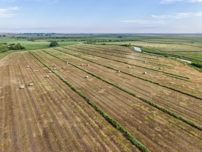 East Malta Ranch | Phillips County, Montana - image 2