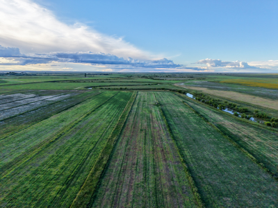 East Malta Ranch | Phillips County, Montana - image 33