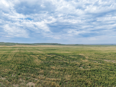 East Malta Ranch | Phillips County, Montana - image 16
