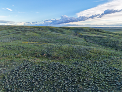 East Malta Ranch | Phillips County, Montana - image 28
