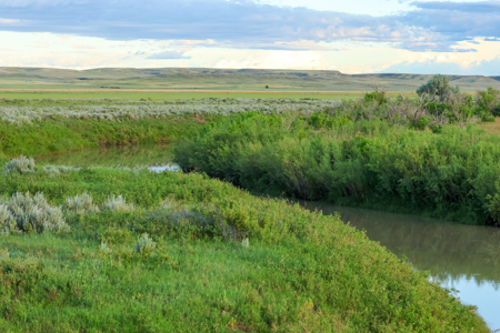 East Malta Ranch | Phillips County, Montana - image 11