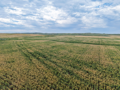 East Malta Ranch | Phillips County, Montana - image 36