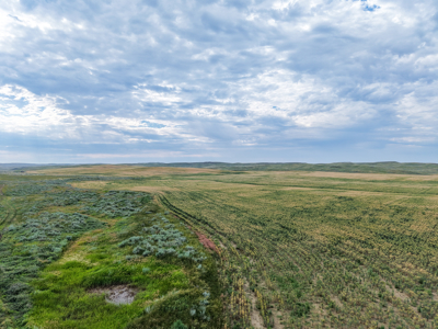 East Malta Ranch | Phillips County, Montana - image 12