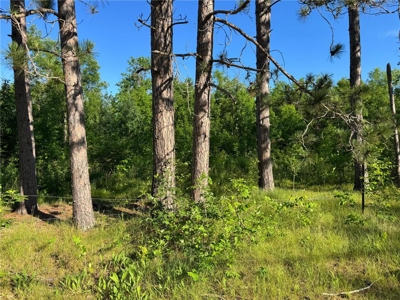 3+ Acres with 285' Frontage on the Moosehorn River in Moose Lake - image 5