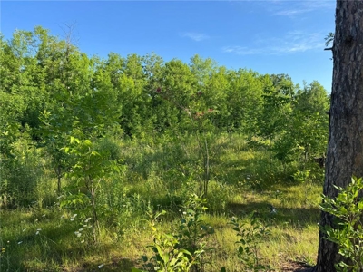 3+ Acres with 285' Frontage on the Moosehorn River in Moose Lake - image 6