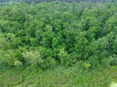 3+ Acres with 285' Frontage on the Moosehorn River in Moose Lake - image 8