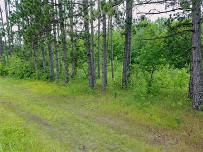 3+ Acres with 285' Frontage on the Moosehorn River in Moose Lake - image 11