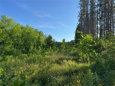 3+ Acres with 285' Frontage on the Moosehorn River in Moose Lake - image 1