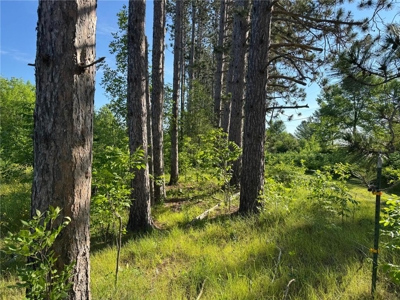 3+ Acres with 285' Frontage on the Moosehorn River in Moose Lake - image 4